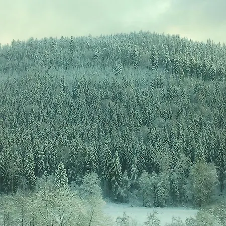 Lejlighed Ferienwohnung Waldblick *