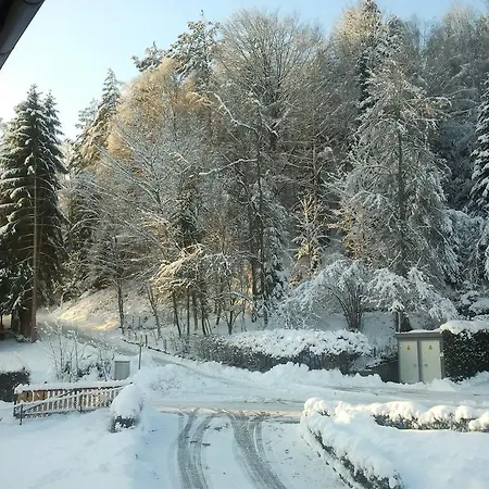 Lejlighed Ferienwohnung Waldblick Bad Wildbad