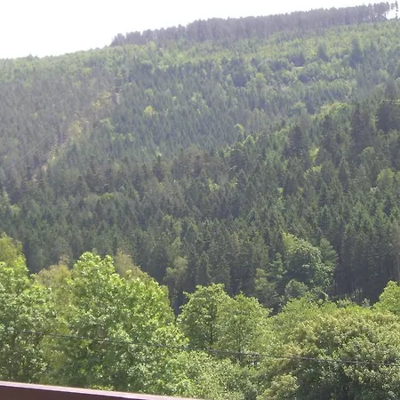 Lejlighed Ferienwohnung Waldblick *